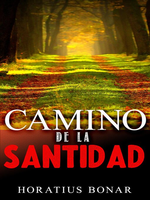 Cover image for Camino de la santidad